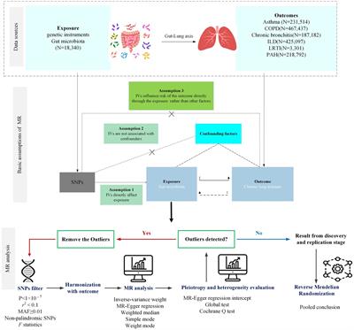 Genetic association and bidirectional Mendelian randomization for causality between gut microbiota and six lung diseases